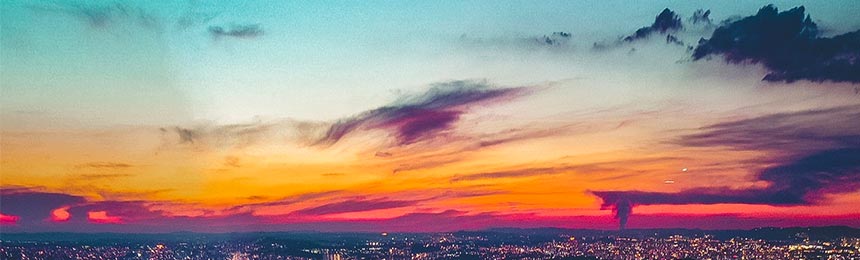 象山茶虫网_象山品茶